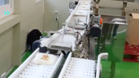 柔性链板线自动分道输送线