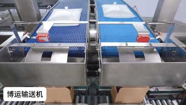 自动装箱网带输送线